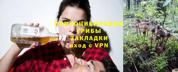 эйфоретик Алексин